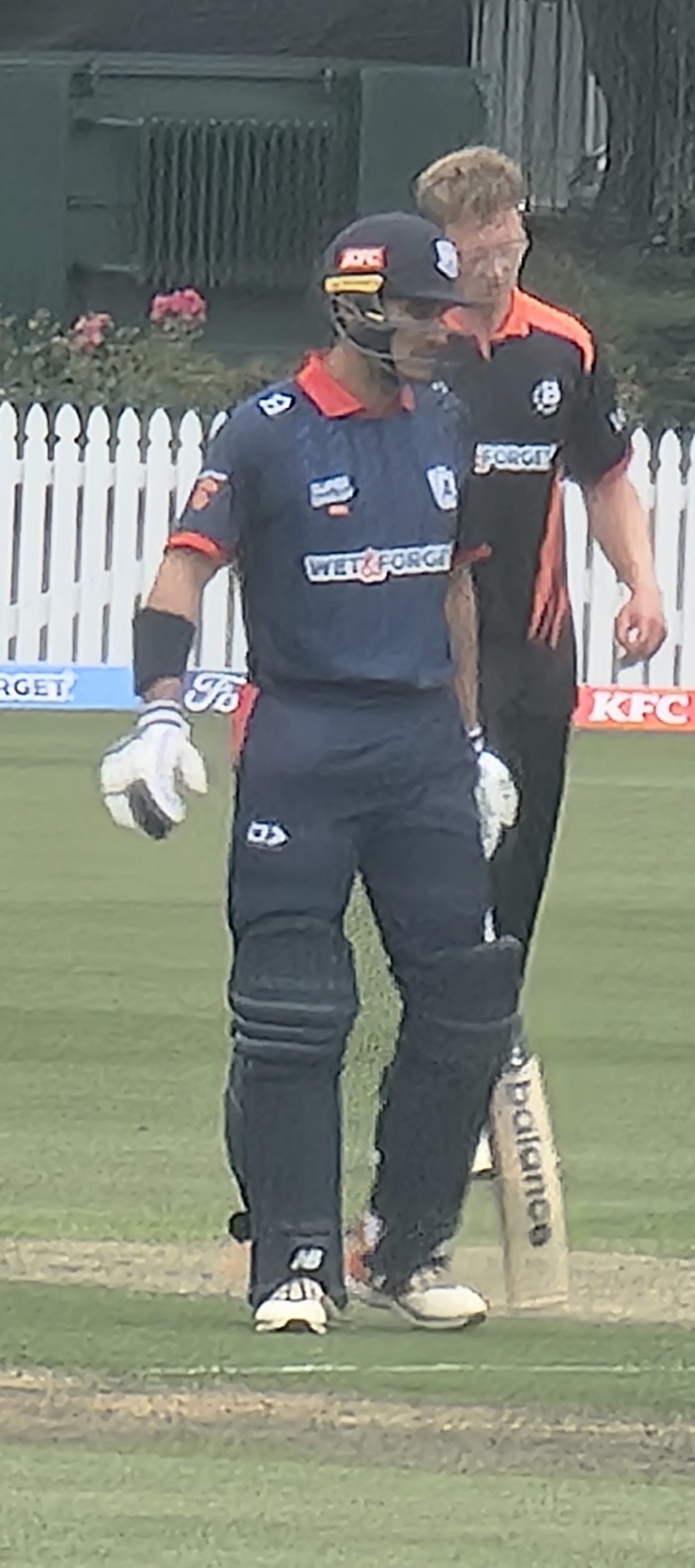 Solia and Phillips Tons Power Auckland to 33-Run Ford Trophy Win